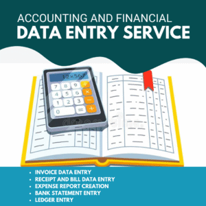 Accounting and Financial Data Entry Service