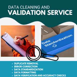 Data Cleaning and Validation Service