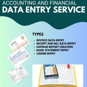 Accounting and Financial Data Entry Service