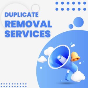Duplicate Removal Services: Optimizing Data for Accuracy and Business Efficiency