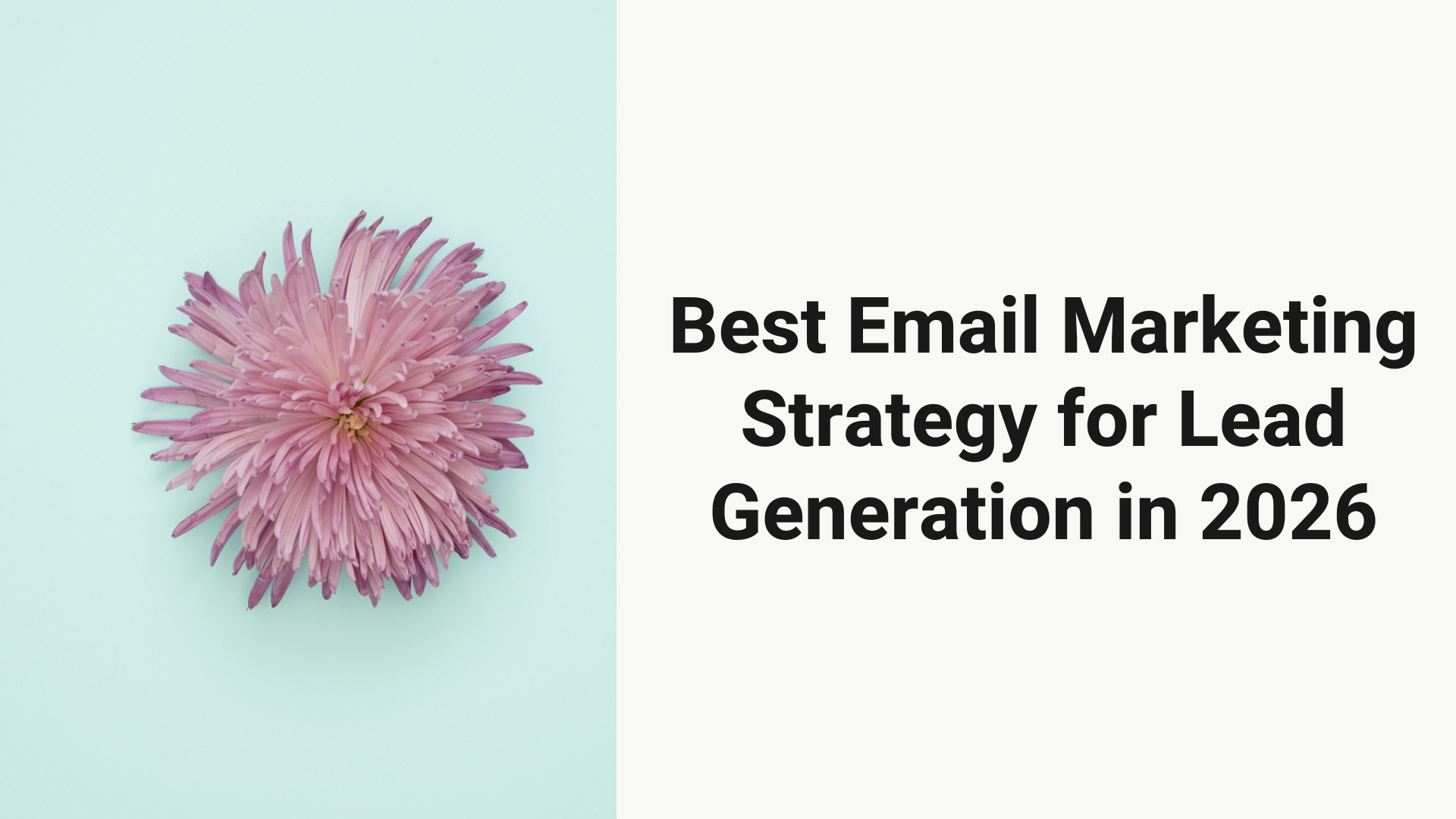 Best Email Marketing Strategy for Lead Generation in 2026 (Best Email Marketing Strategy for Lead Generation)